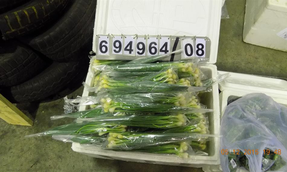 2015-12-8-953foto 6.JPG